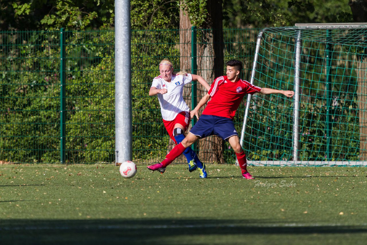 Bild 214 - Frauen HSV - cJun Eintracht Norderstedt : Ergebnis: 1:16